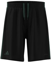 adidas - Fitness ,Zwart ,Polyester X Arte Antwerp Shorts - Lyst