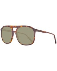 Helly Hansen - Brown Plastic Sunglasses - Lyst