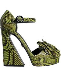 Dolce & Gabbana - Grüne exotische lederknöchelriemen-absatzsandalen schuhe - Lyst