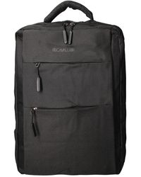 Roberto Cavalli - Backpacks - Lyst
