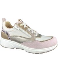 Xsensible - Schoenen ,Veelkleurig ,Leer Casual Sneakers Grenoble - Lyst