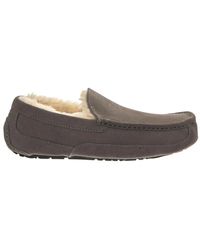UGG - Schoenen ,Grijs ,Wol Ascot - Lyst