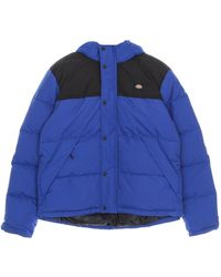Dickies - Winter Jackets - Lyst