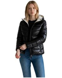 Blauer - Winterjassen - Lyst