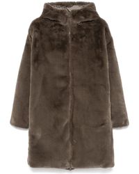 Save The Duck - Faux Fur & Shearling Jackets - Lyst