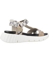 Cetti - C1316Sra V25 Sandalia Tira Adhesiva - Lyst