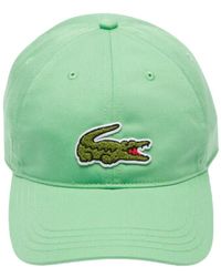 Lacoste - Accessoires ,Groen ,Groene Big Croco Pet - Lyst