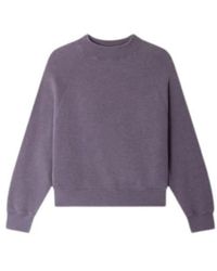 Sessun - Hoodies & Sweatvesten ,Paars ,Katoen Oliveira Sweatshirt - Lyst