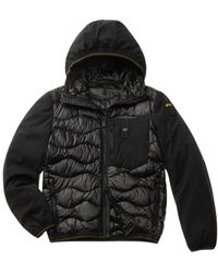 Blauer - Herren Kurze Steppjacke - Lyst