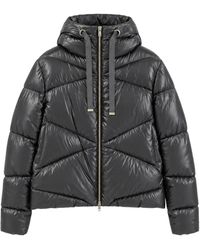Herno - Kort Donsjack - Lyst