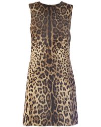Dolce & Gabbana Sleeveless Dress With Zip Behind - Bruin