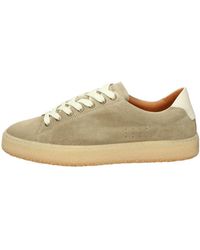 Ambitious - Schoenen ,Leer Sneakers Basse - Lyst