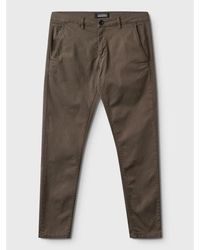 Gabba - Dale Chino Krokodil Broek - Lyst