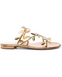 Gianvito Rossi - Sliders - Lyst
