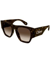 Chloé - Mutige quadratische sonnenbrille mit oversized-bügeln,stylische sonnenbrille mit modell ch0233s - Lyst