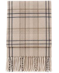Marella - Winter Scarves - Lyst