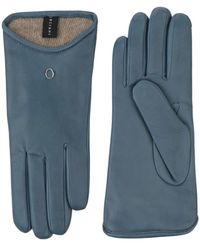 Orciani Handschoenen - - Dames - Blauw