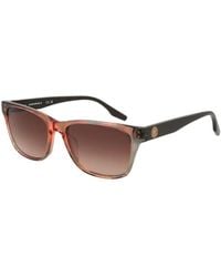Converse - Sunglasses - Lyst