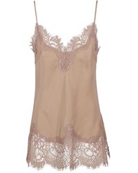 Gold Hawk - Topjes - Lyst