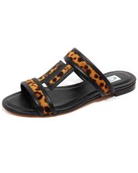 Tod's - Schoenen ,Veelkleurig ,Leer Luipaard Sandaal Leren Model Schoen - Lyst