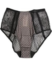 Dolce & Gabbana - Ondergoed ,Zwart ,Zwarte Sheer Polka Dot Kant Briefs - Lyst