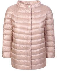Herno - Gewatteerde Jassen - Lyst