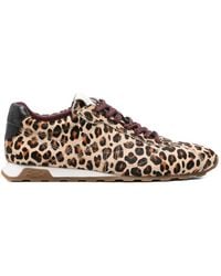 Ash - Braune Sneakers Für Stilvolle Outfits - Lyst
