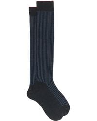 Gallo - Socks - Lyst