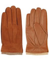 Howard London - Gloves - Lyst