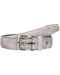Floris Van Bommel - Accessoires ,Grijs ,De Belter - Lyst