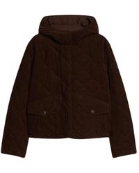 Pennyblack - Light Jackets - Lyst