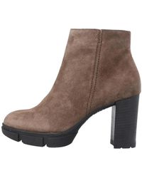 Paul Green - Wildleder Braun Damen Stiefelette - Lyst