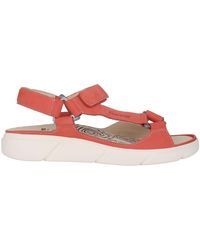 Ganter - Schoenen ,Rood ,Rode Brede Pasvorm Sandaal - Lyst