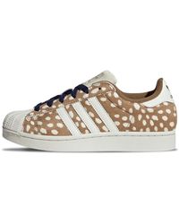 adidas - Fitness ,Bruin ,Leer Superstar Ii - Lyst