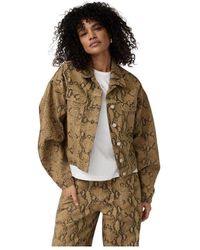 Alchemist - Jassen ,Bruin ,Katoen Frederiek Jacket - Lyst