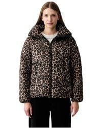 DKNY - Korte Gewatteerde Jas - Lyst