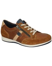 Fluchos - Schoenen ,Bruin ,Leer Daniel F1282 - Lyst