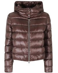 Herno - Jassen ,Bruin ,Donsjack - Lyst