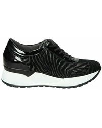 Zapatos Pitillos | Primeras Marcas | Club del Zapato