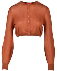 Wild Cashmere - Truien & Vesten ,Bruin ,Kasjmier Luxe Cashmere Zijden Vest - Lyst