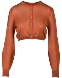 Wild Cashmere - Truien & Vesten ,Bruin ,Kasjmier Luxe Cashmere Zijden Vest - Lyst