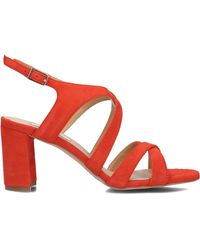 Notre-v - Rote Elegante Sandalen Für Damen - Lyst