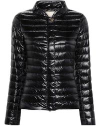 Herno - Zwarte Gewatteerde Jas Met Opstaande Kraag - Lyst