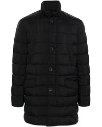 Herno - Zwarte Winterjassen - Lyst