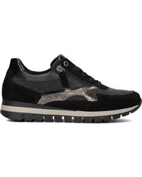Gabor - Graue Suede Low Sneakers - Lyst