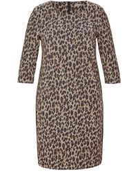 Rabe Dress 43-114461 - Bruin