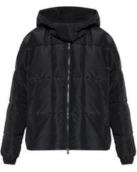 EA7 - Light Jackets - Lyst