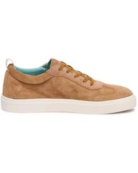 Pànchic - Schoenen ,Bruin ,Suède Suede Biscuit Burnt Veterschoenen - Lyst
