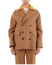 Plan C Short - Bruin