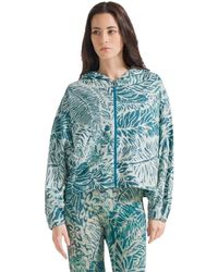 Deha - Hoodies & Sweatvesten ,Blauw ,Katoen Blauwe Biologische Katoenen Trui - Lyst